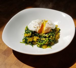 Qualified Nutrition Coach - Poached egg